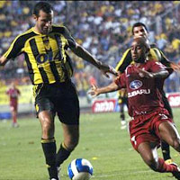 ������ - �������